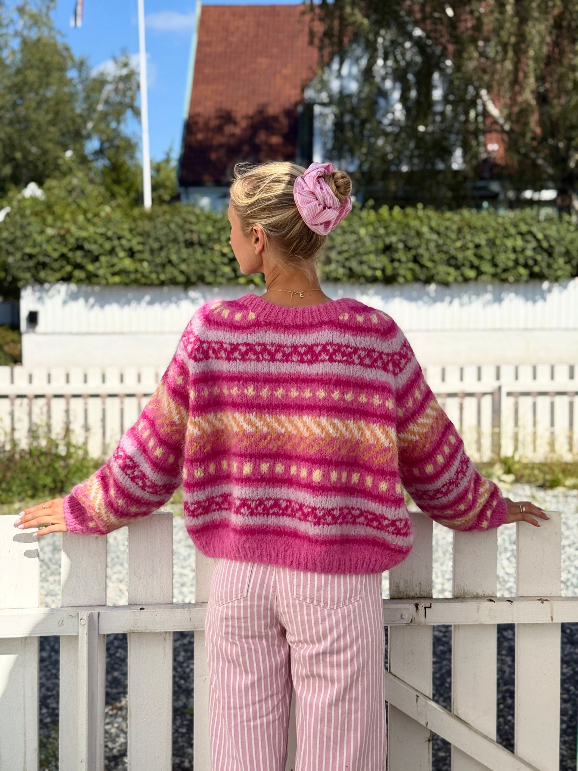 IR 02-08b Hanami raglangenser (Fnugg in Florence)