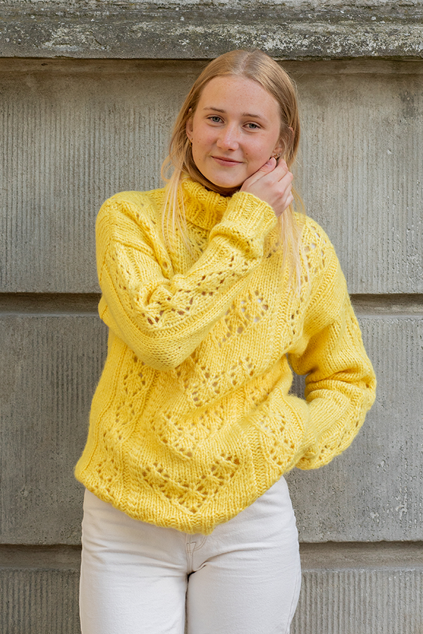 102-06 Vega genser gul