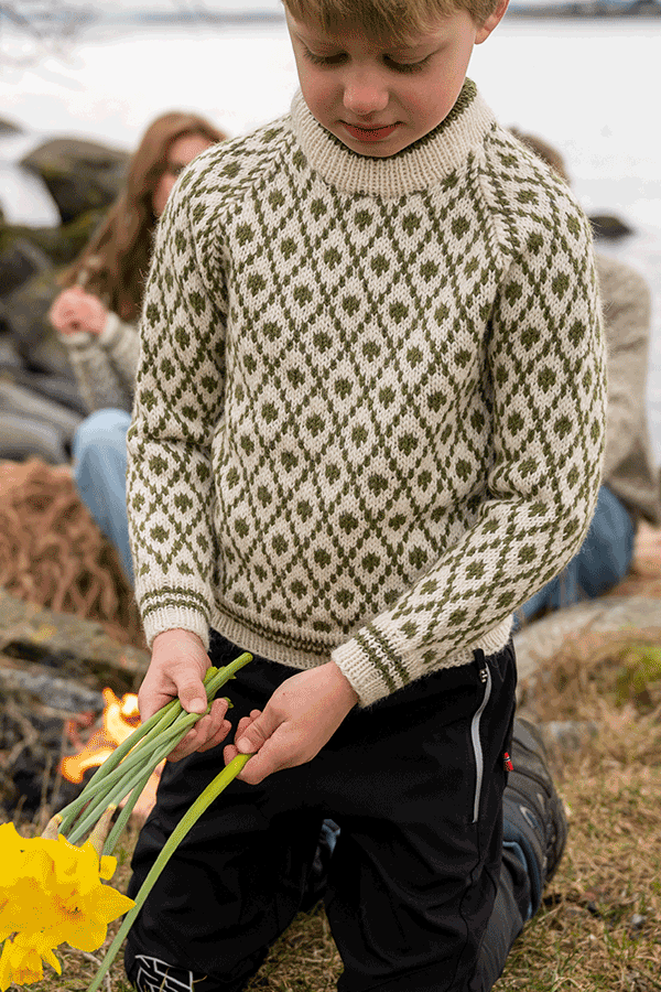 109-03 Islender genser