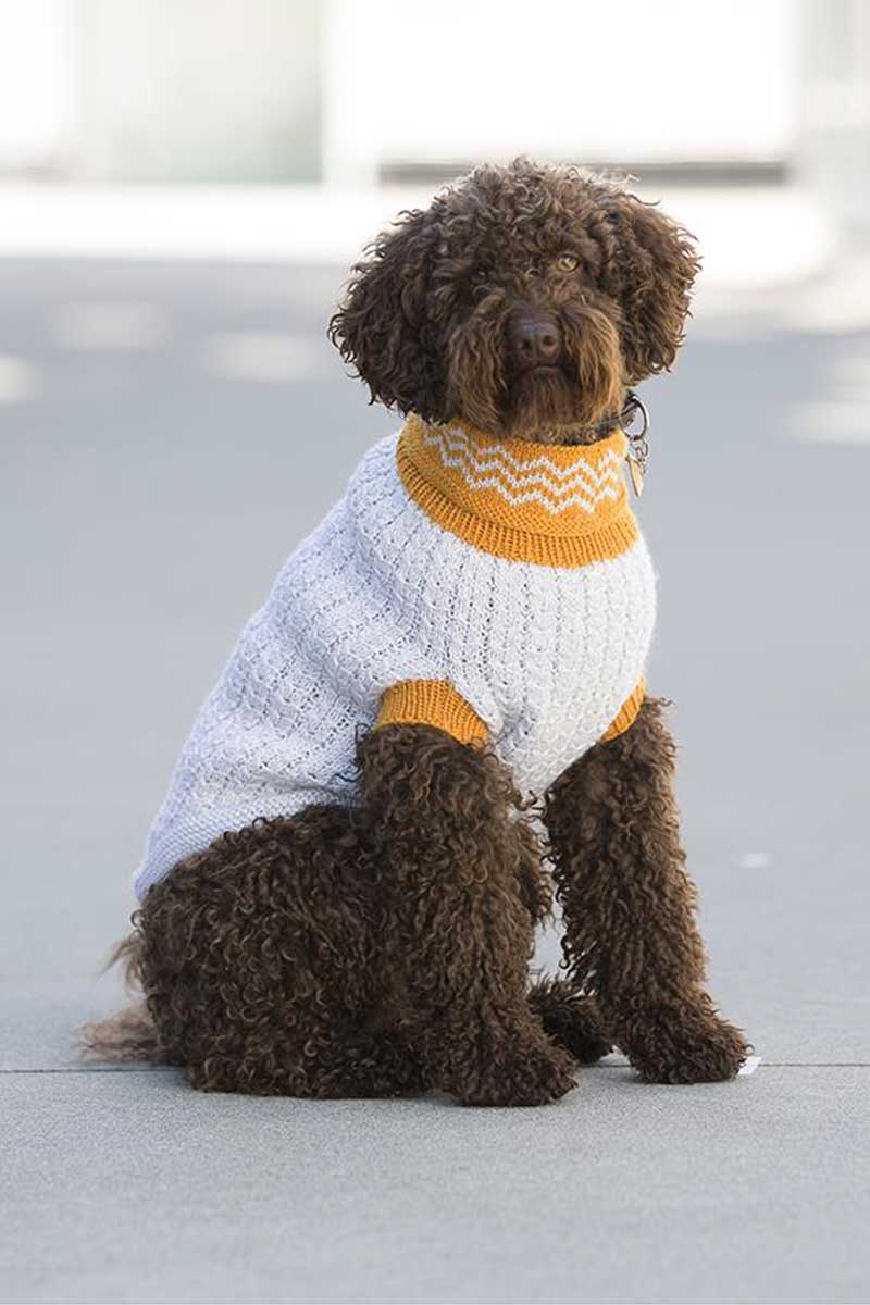 1711-25 Refleksvest Hund