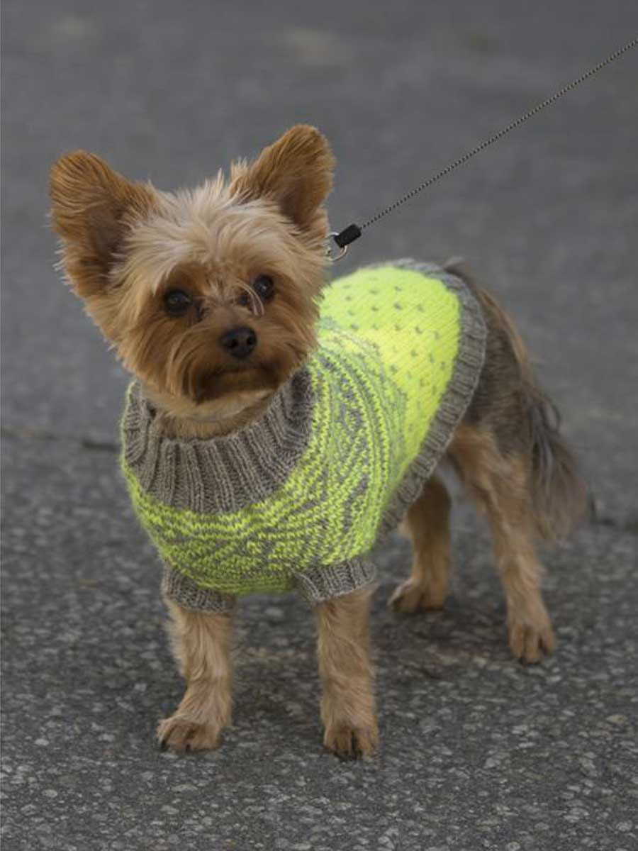 1711-27 Refleksvest Hund