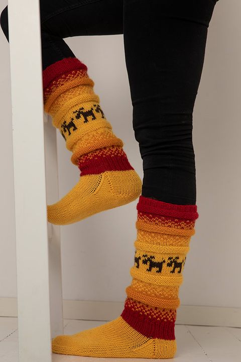 2104-15 Elg i solnedgang sokken