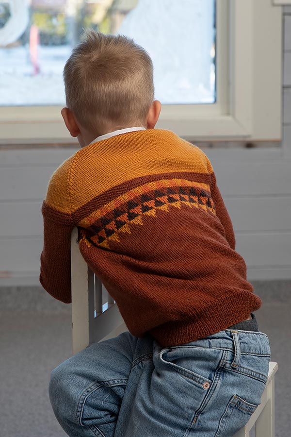 2110-15 Gulliver genser