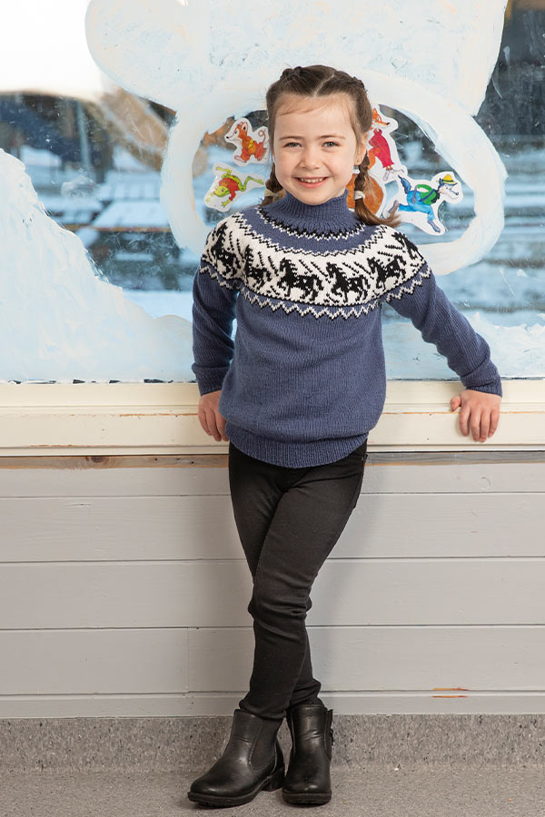 2110-9 Hest genser Jeansblå