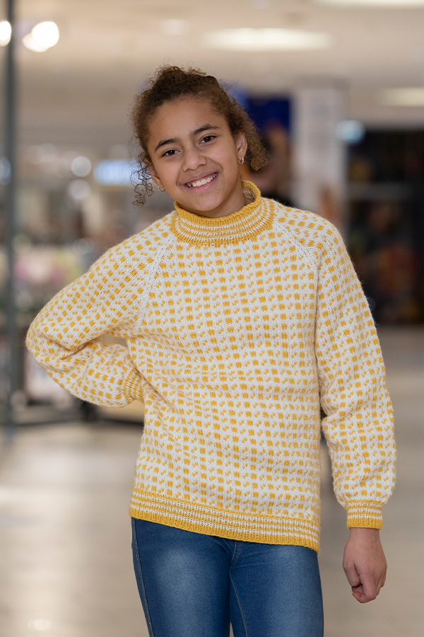 2210-8 Islender genser