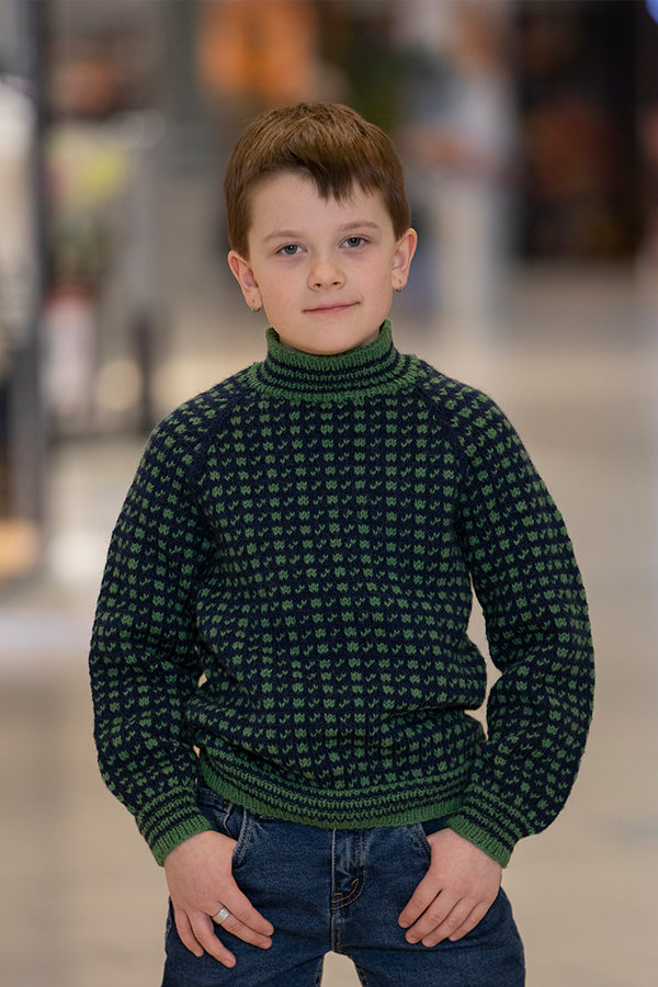 2210-8a Islender genser