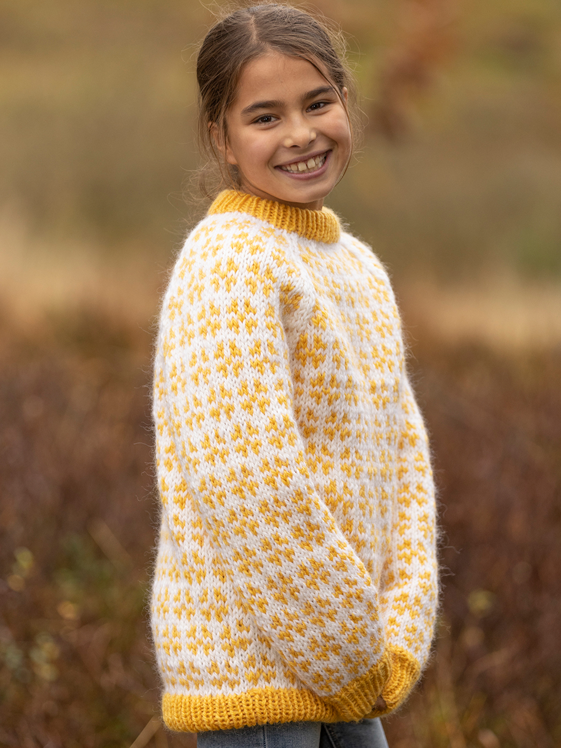 2302-04b Gemini genser