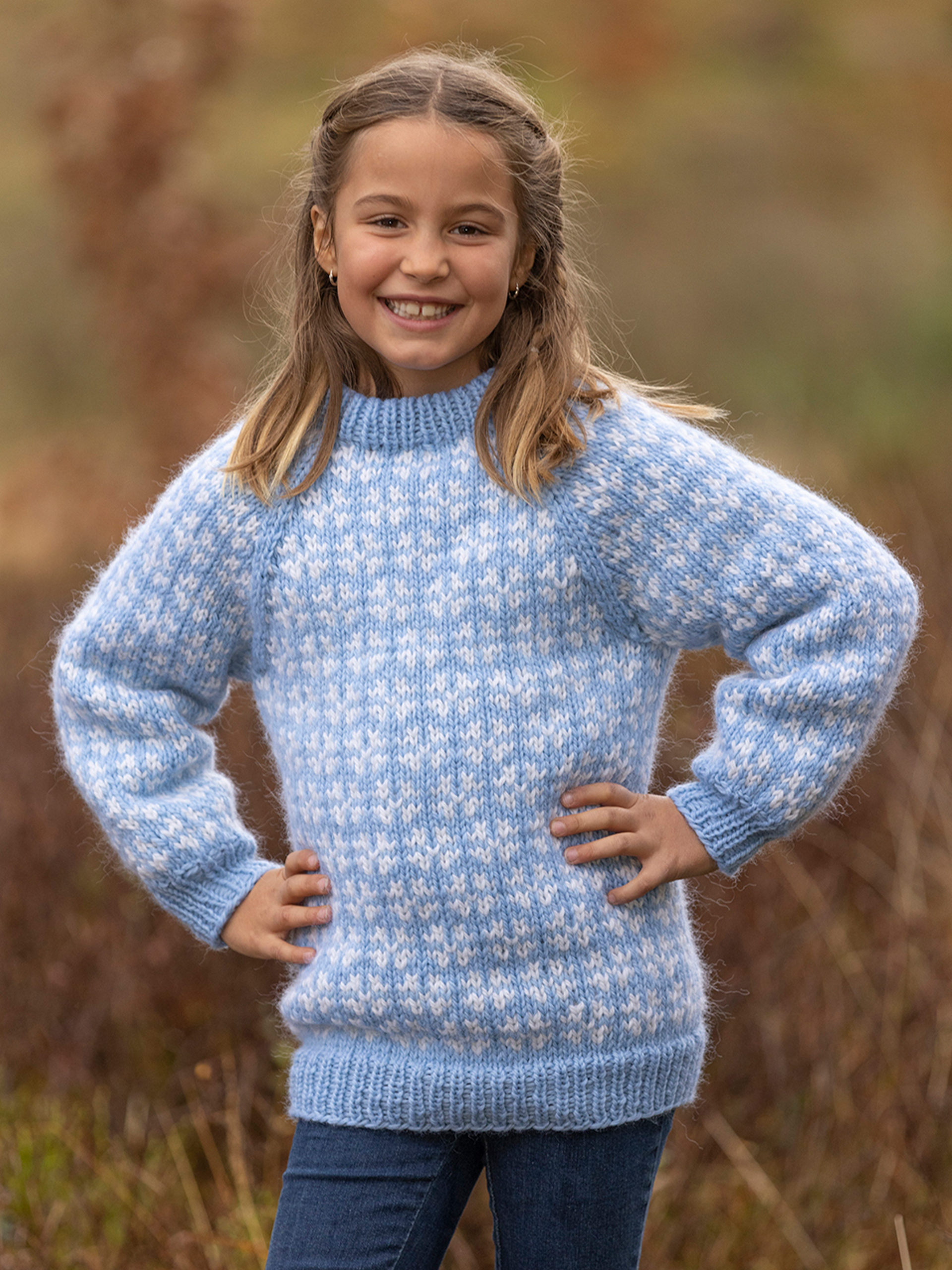 2302-04c Gemini genser