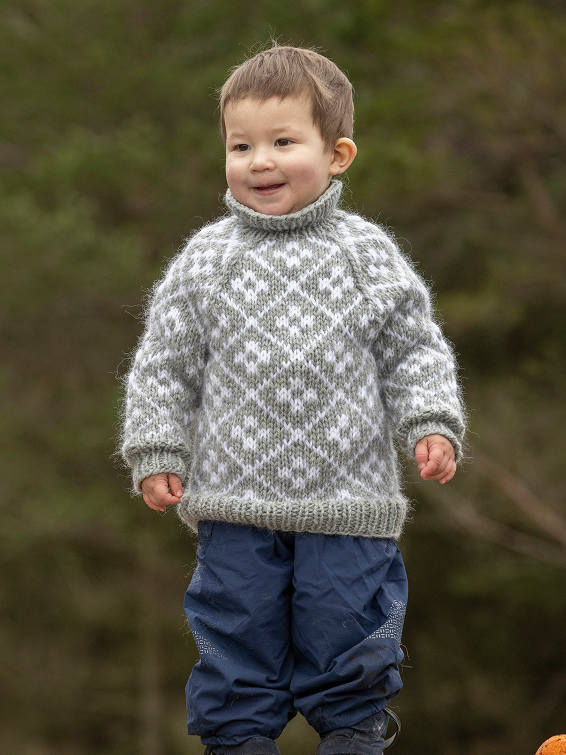 2310-22 Fjellrose genser