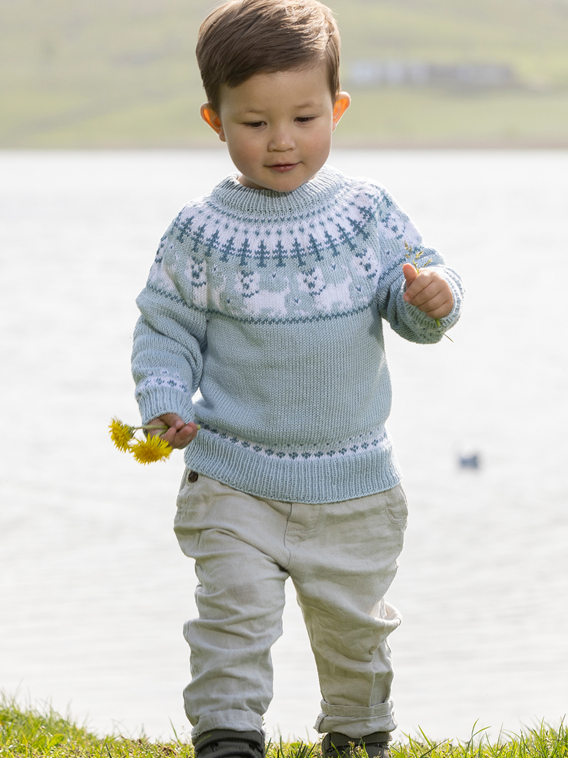 2323-6a Hunde genser