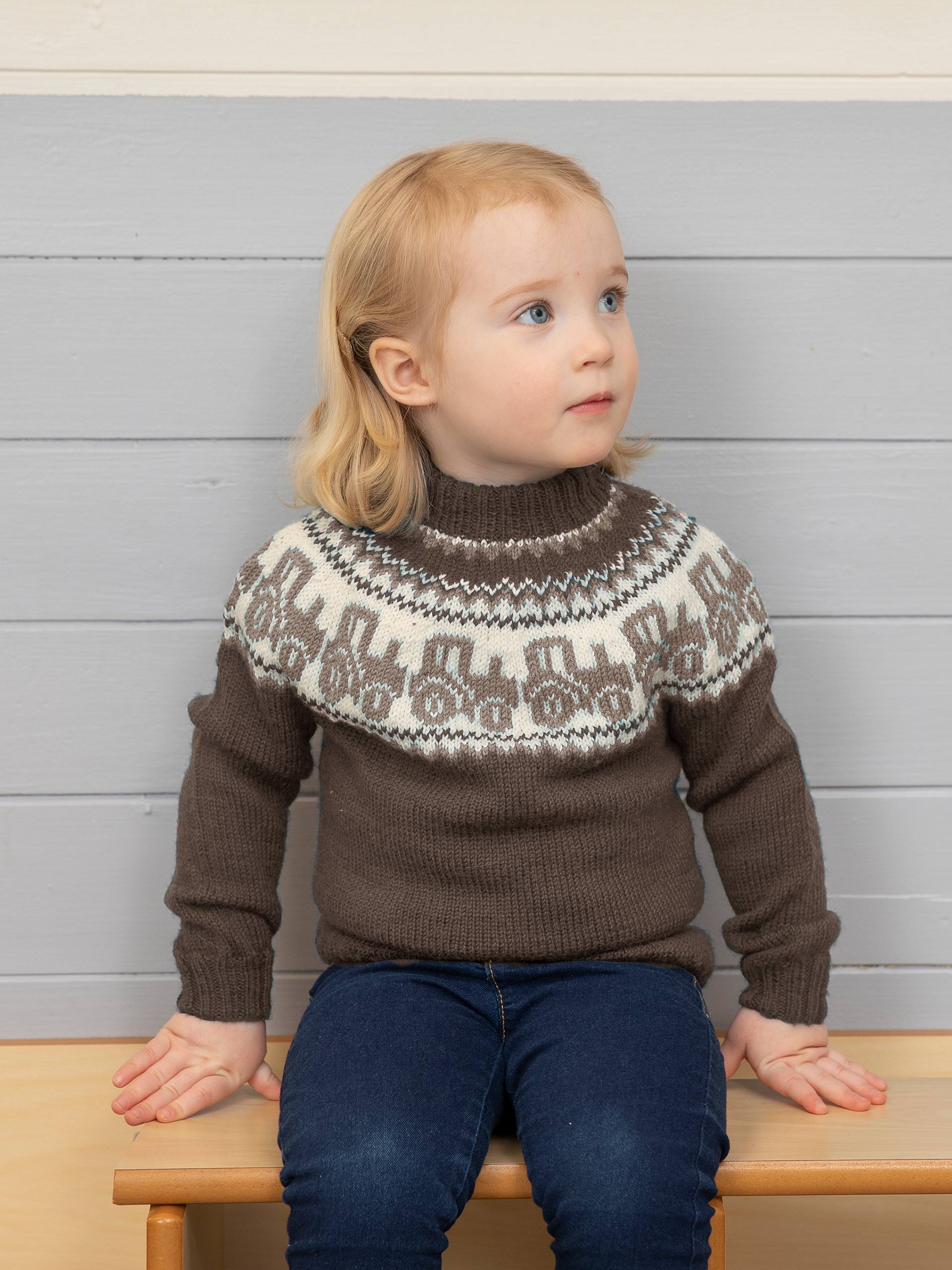 2110-5d Traktor genser