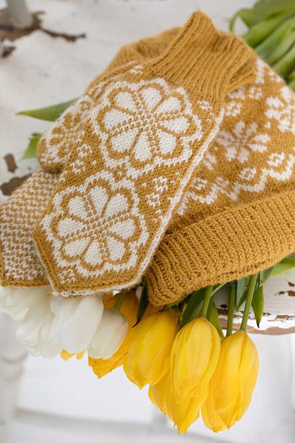 409-03 Q-Symre lue & votter maisgul