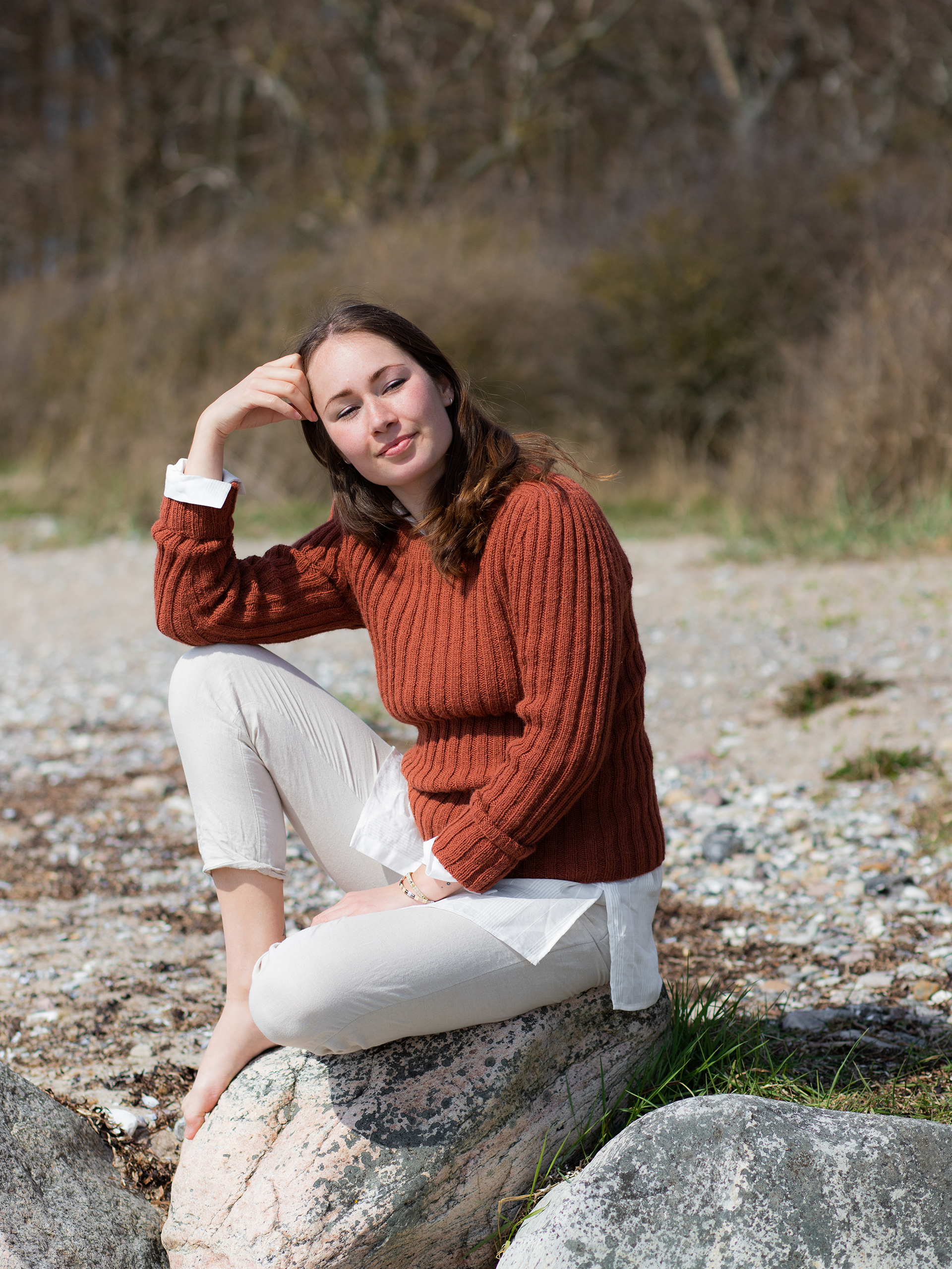 94-07 Vak genser rust