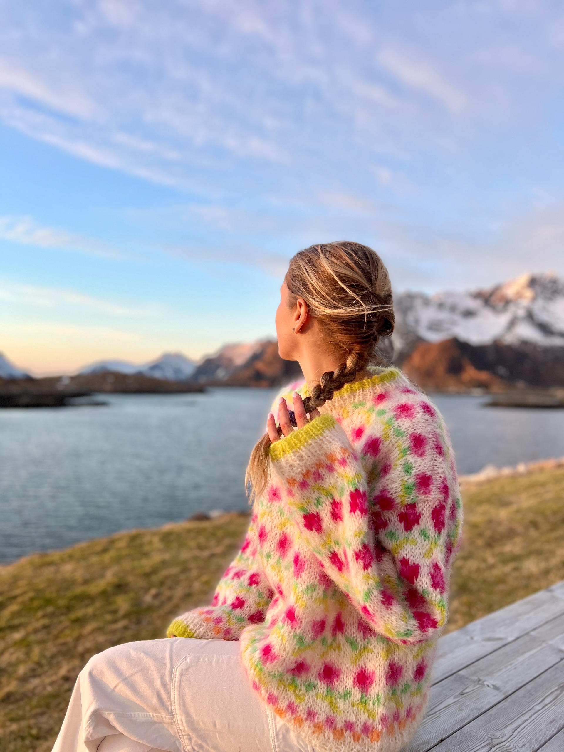 IR 03-04 Ellinor genser (Soft)