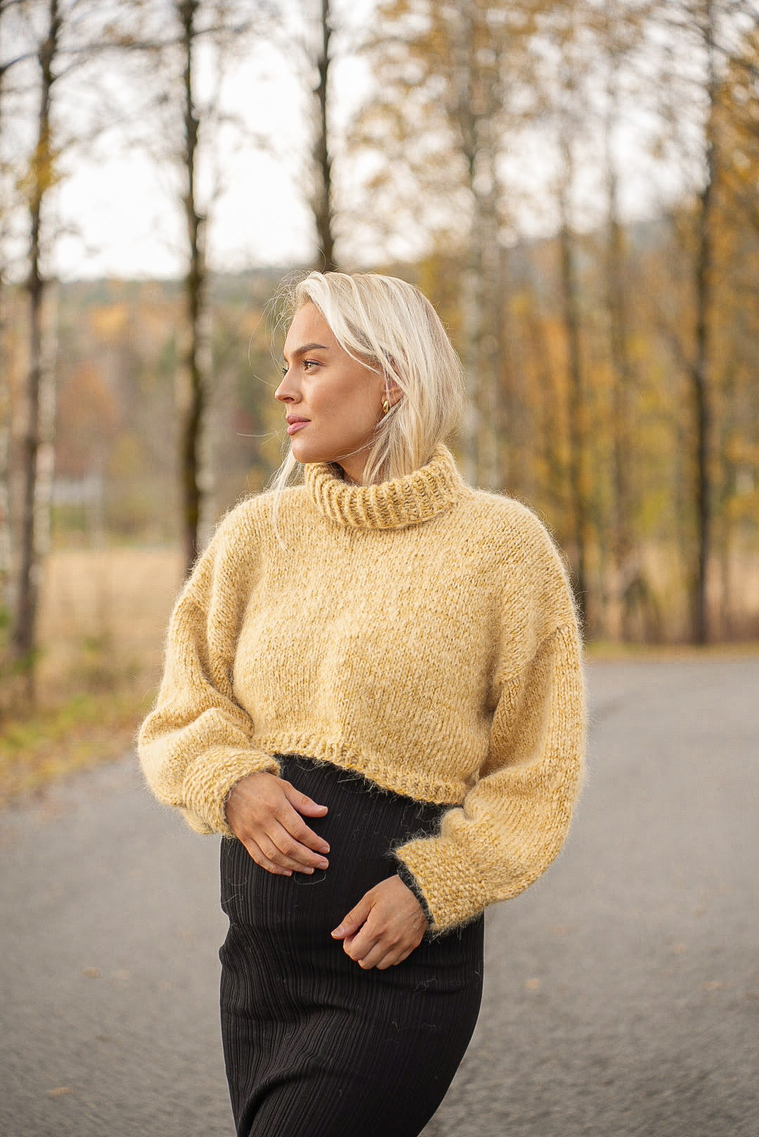 423V-02b THE BASIC Cropped