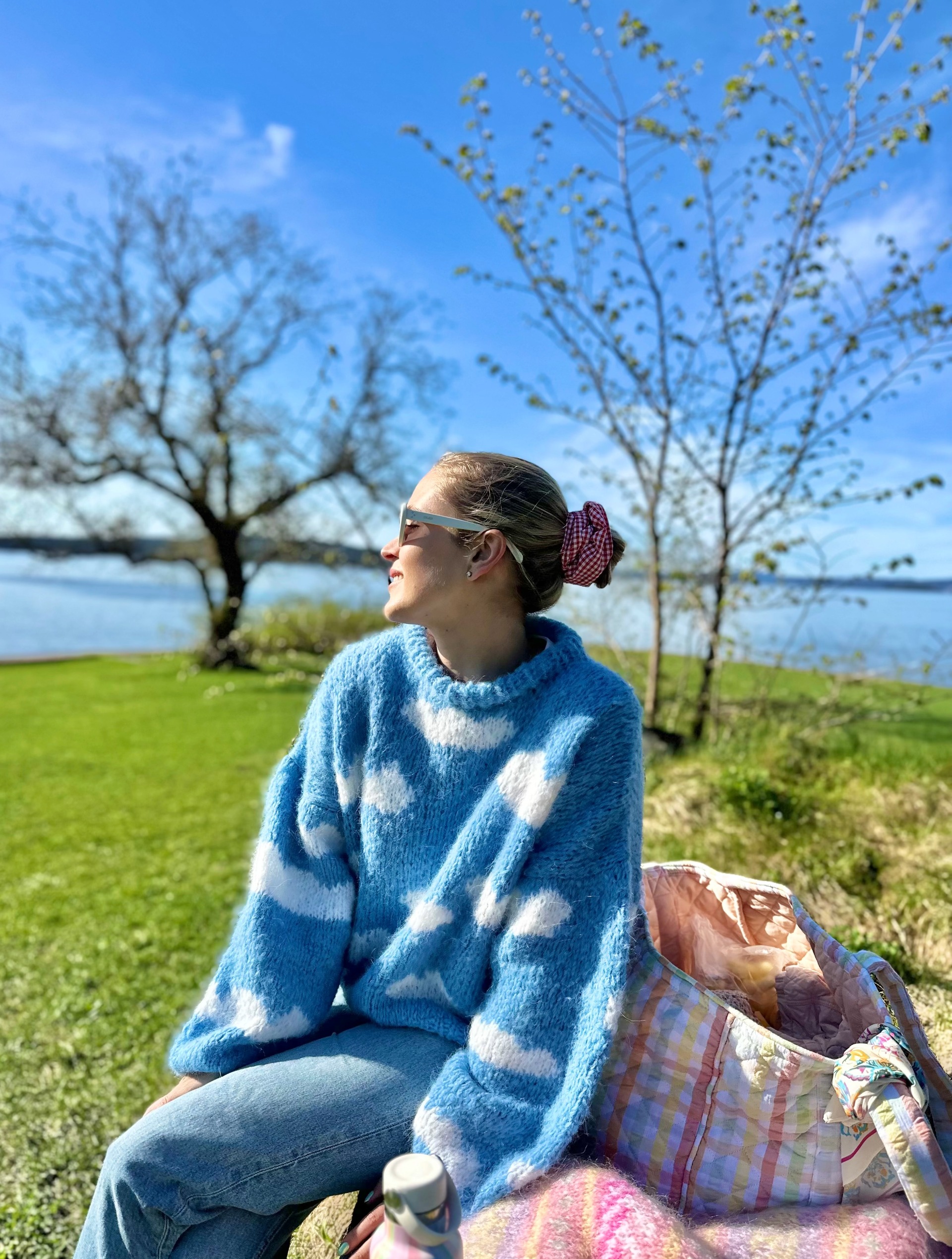 IR 01-04a Skyhigh genser (Fnugg in Florence)