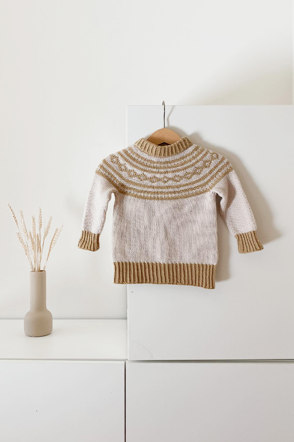 JORDGENSEREN snow/desert