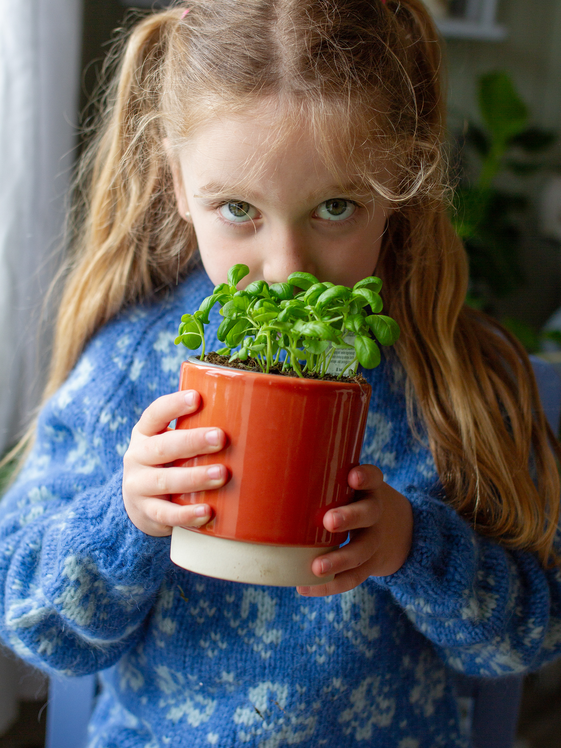 423K-05b JUNIDRØM genser