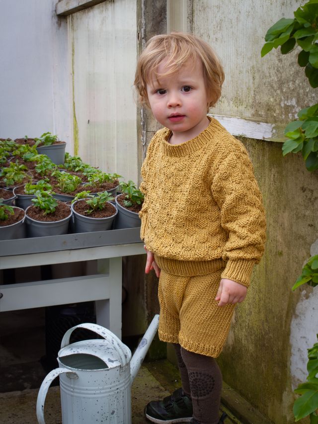 423K-12a KUBE genser