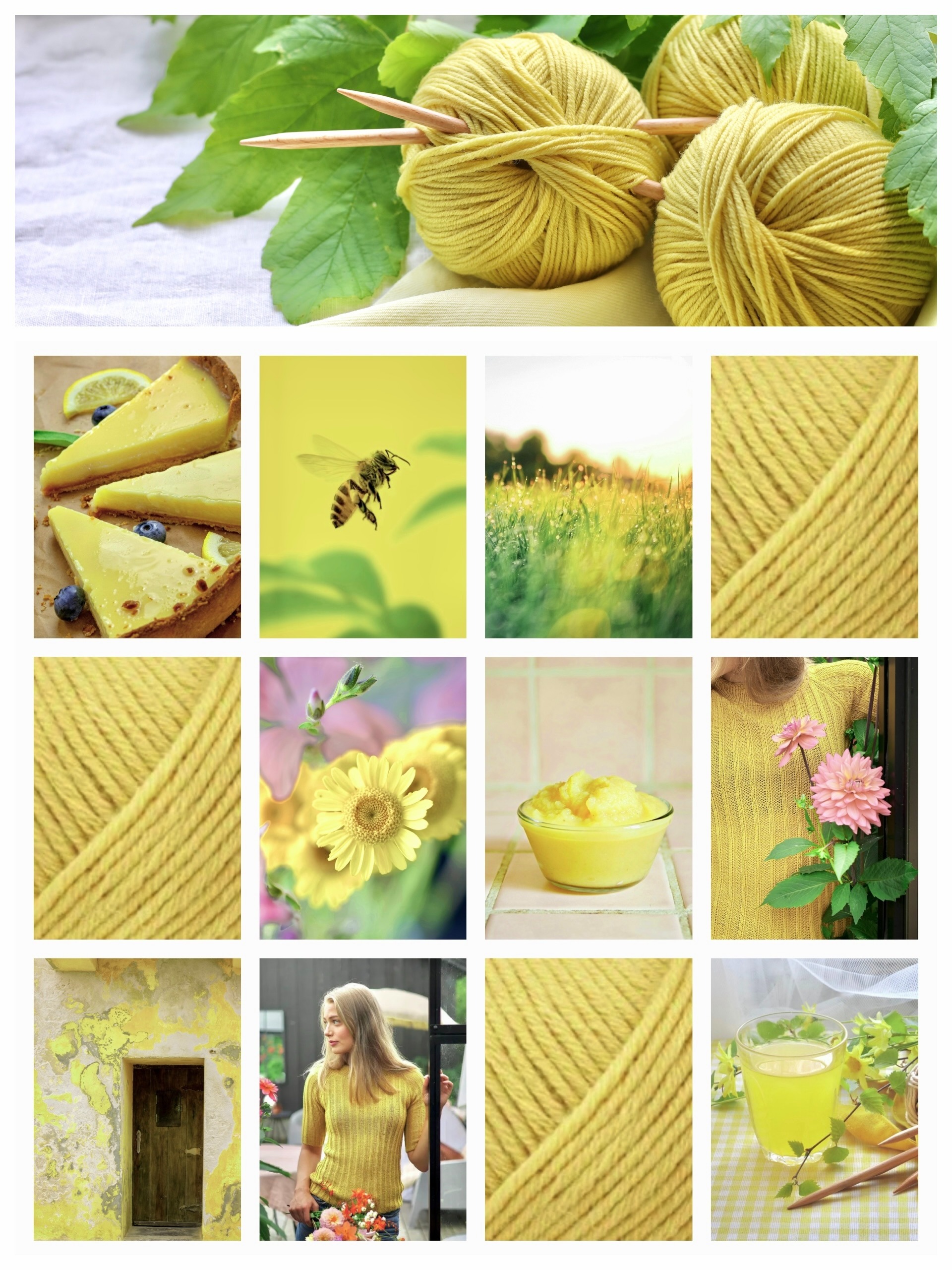 Notes From Sunshine