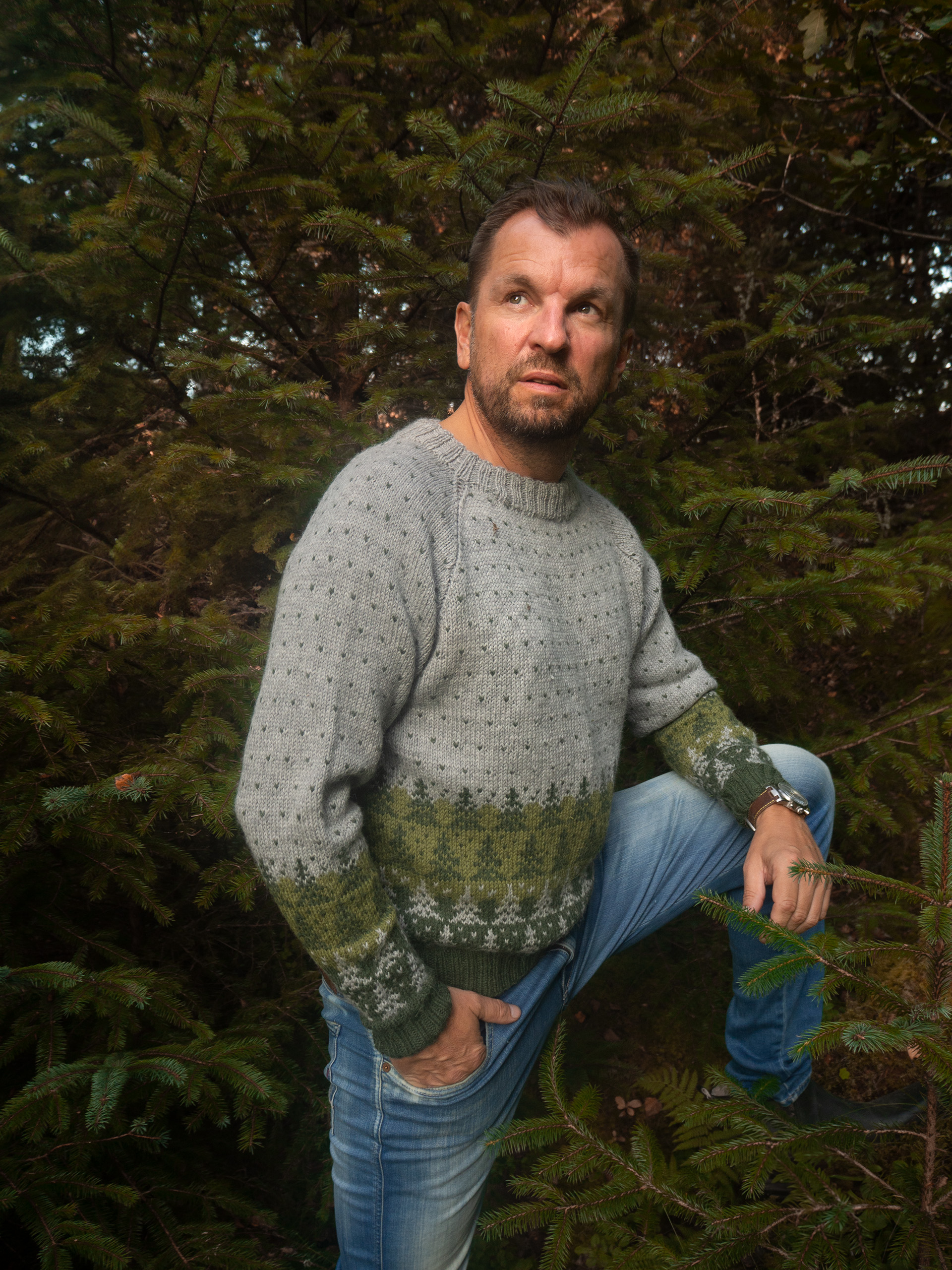 424K-04a PINEWOOD genser herre