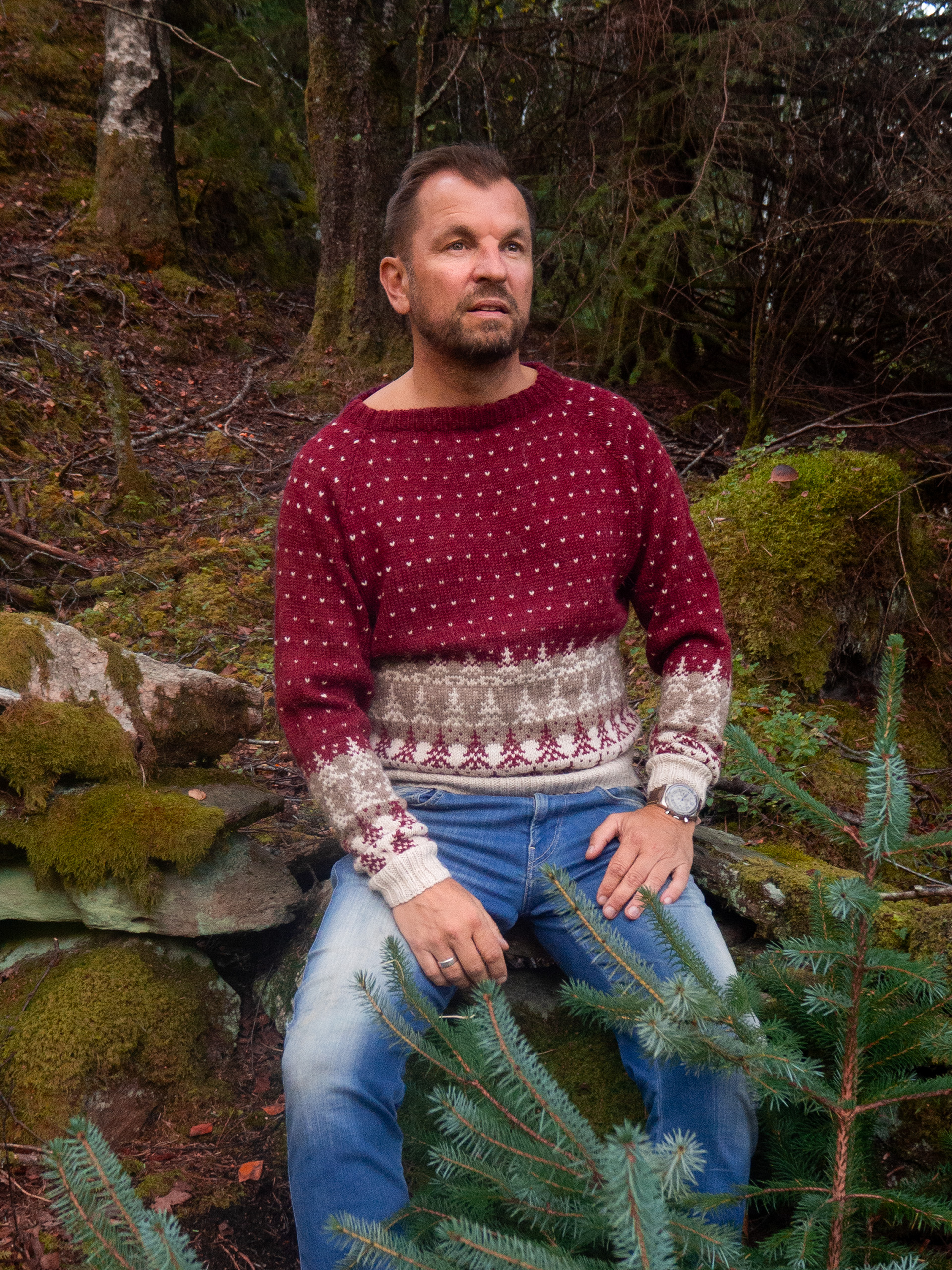 424K-04b PINEWOOD genser herre