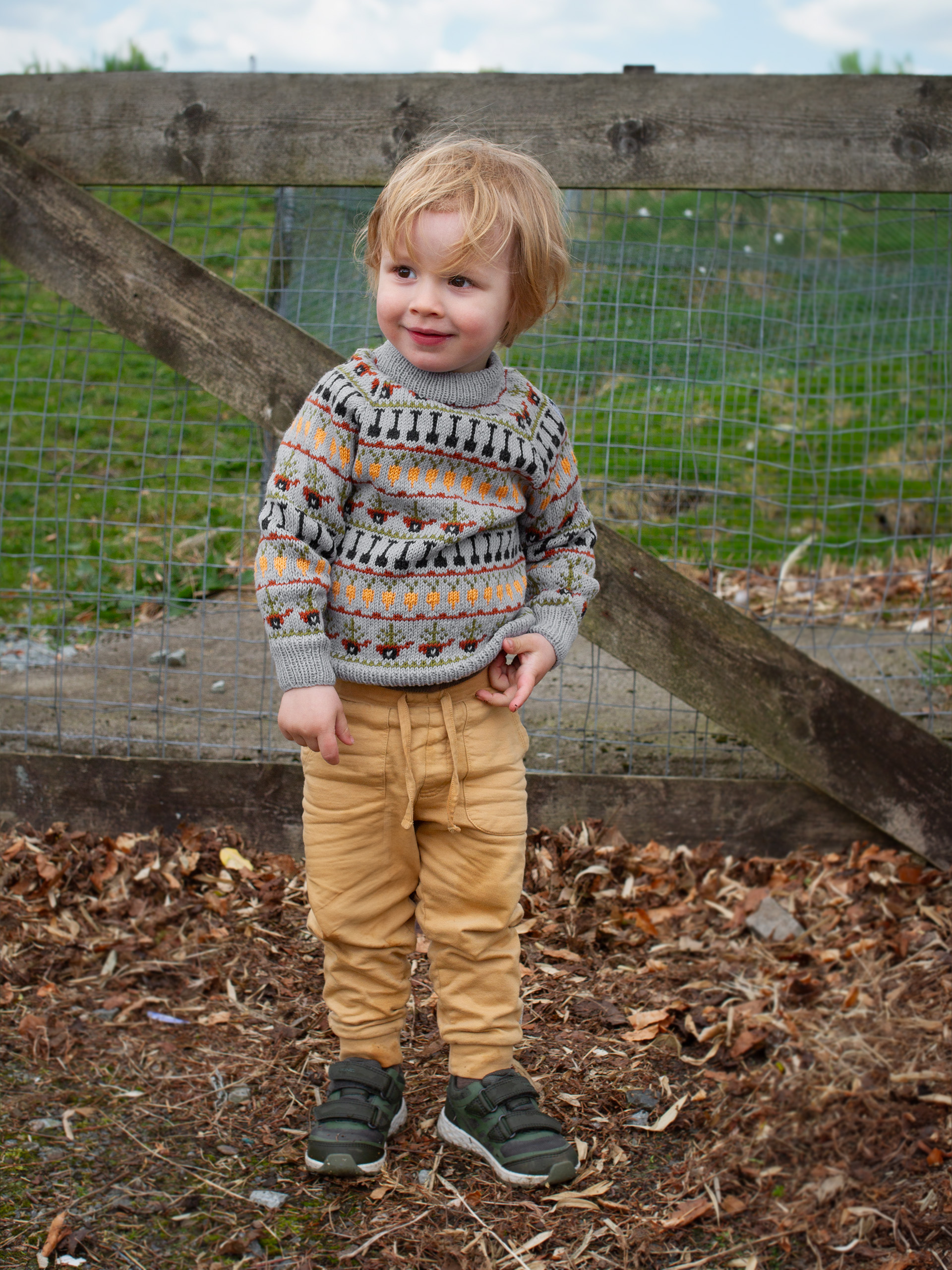 423K-07a RØTTER genser mini