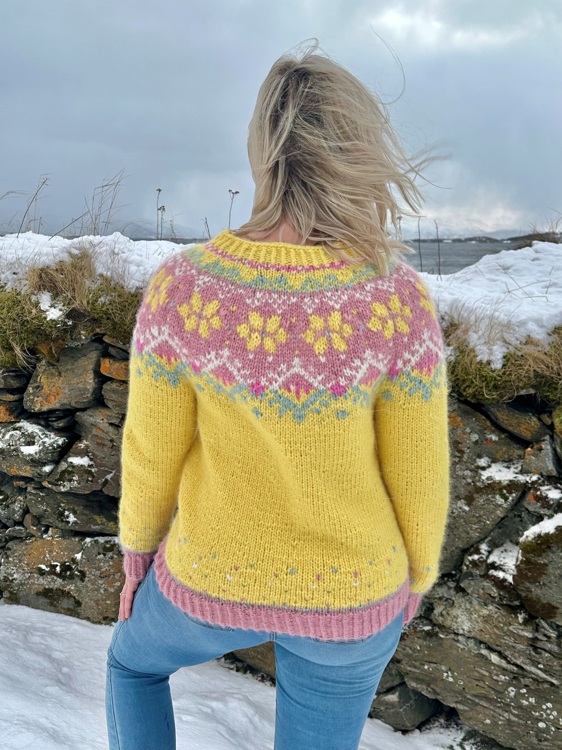 521E-07a Sommernord genser