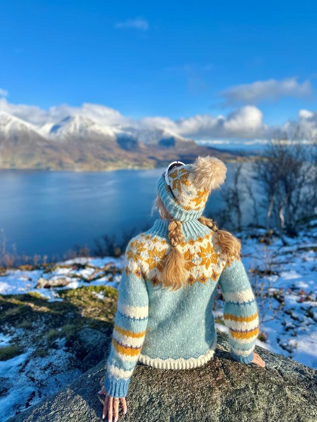 521E-09a Vinterstjerne genser fra nord