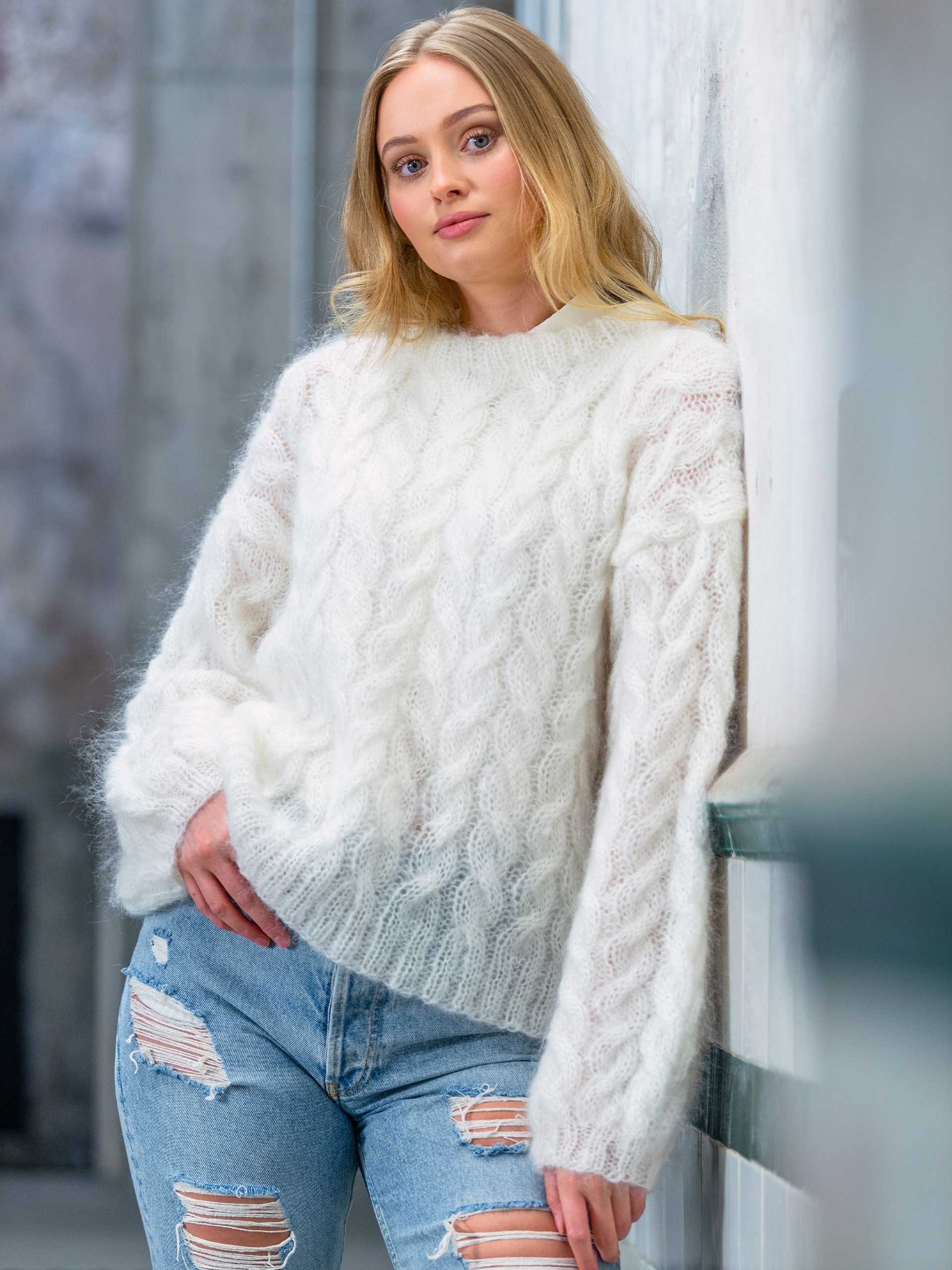 01-04c Melanita genser