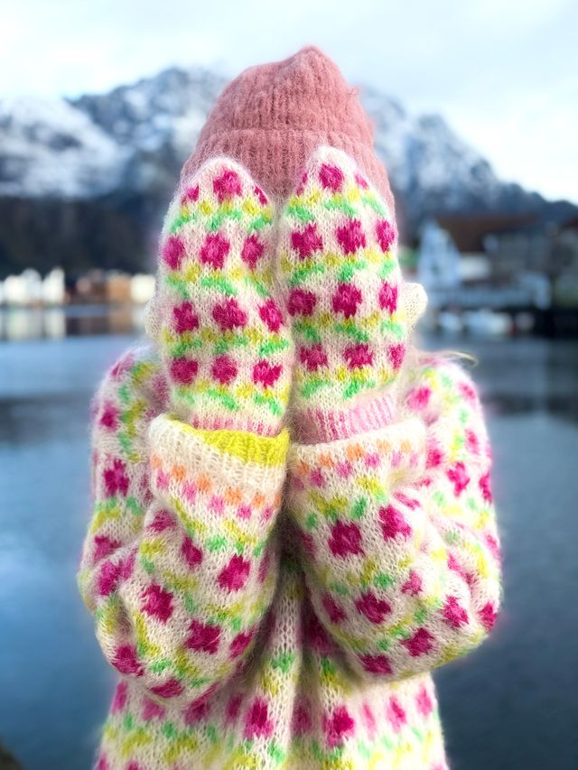 IR 03-12 Ellinor votter (Soft)