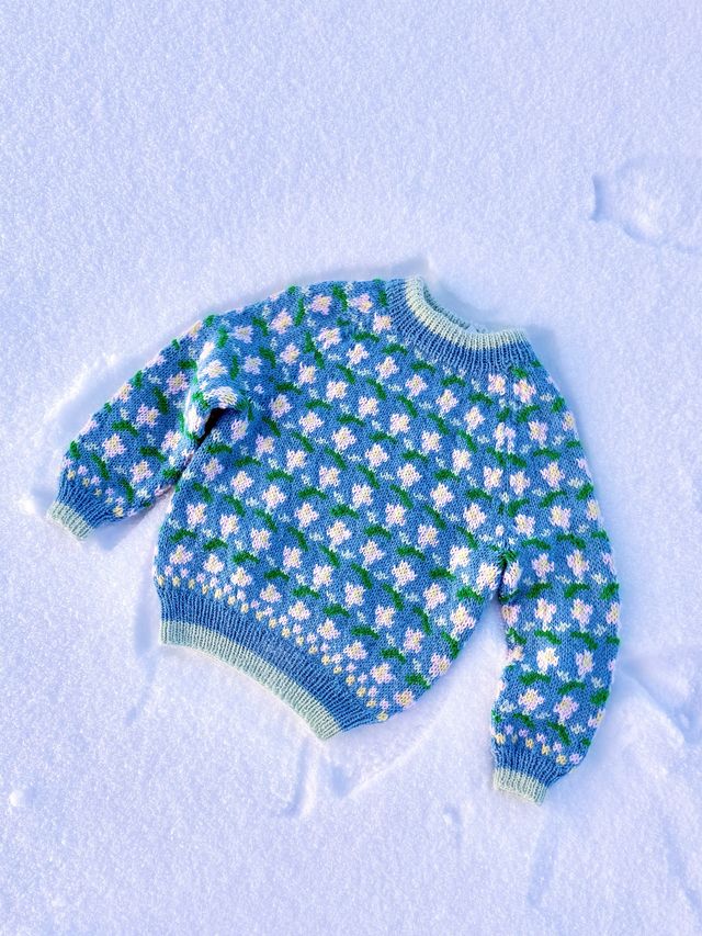 IR 03-17a Ellinor raglangenser barn