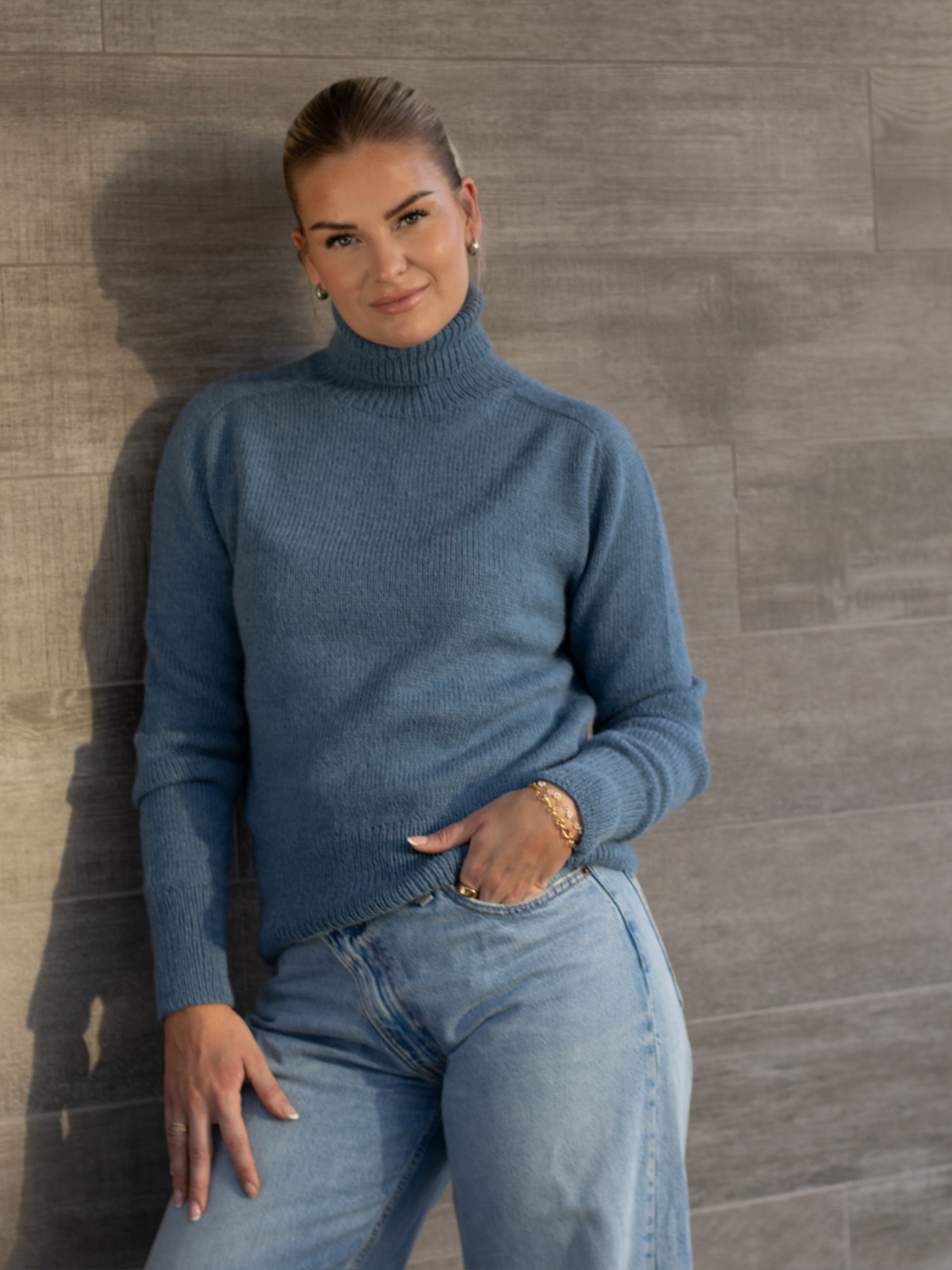 138-04b Ellois genser