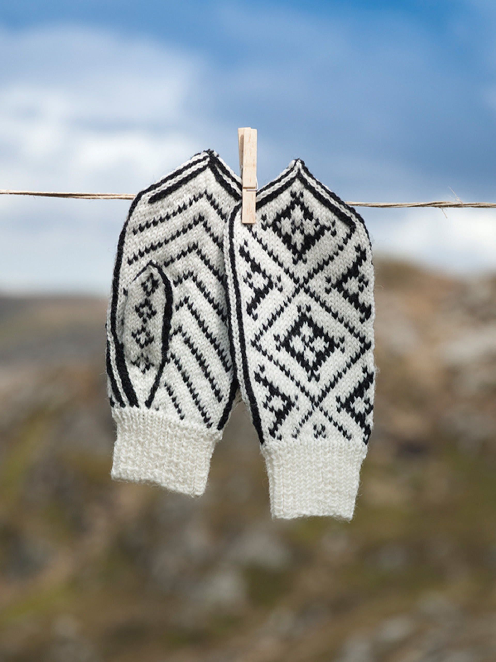 219-18 Stavseng votter