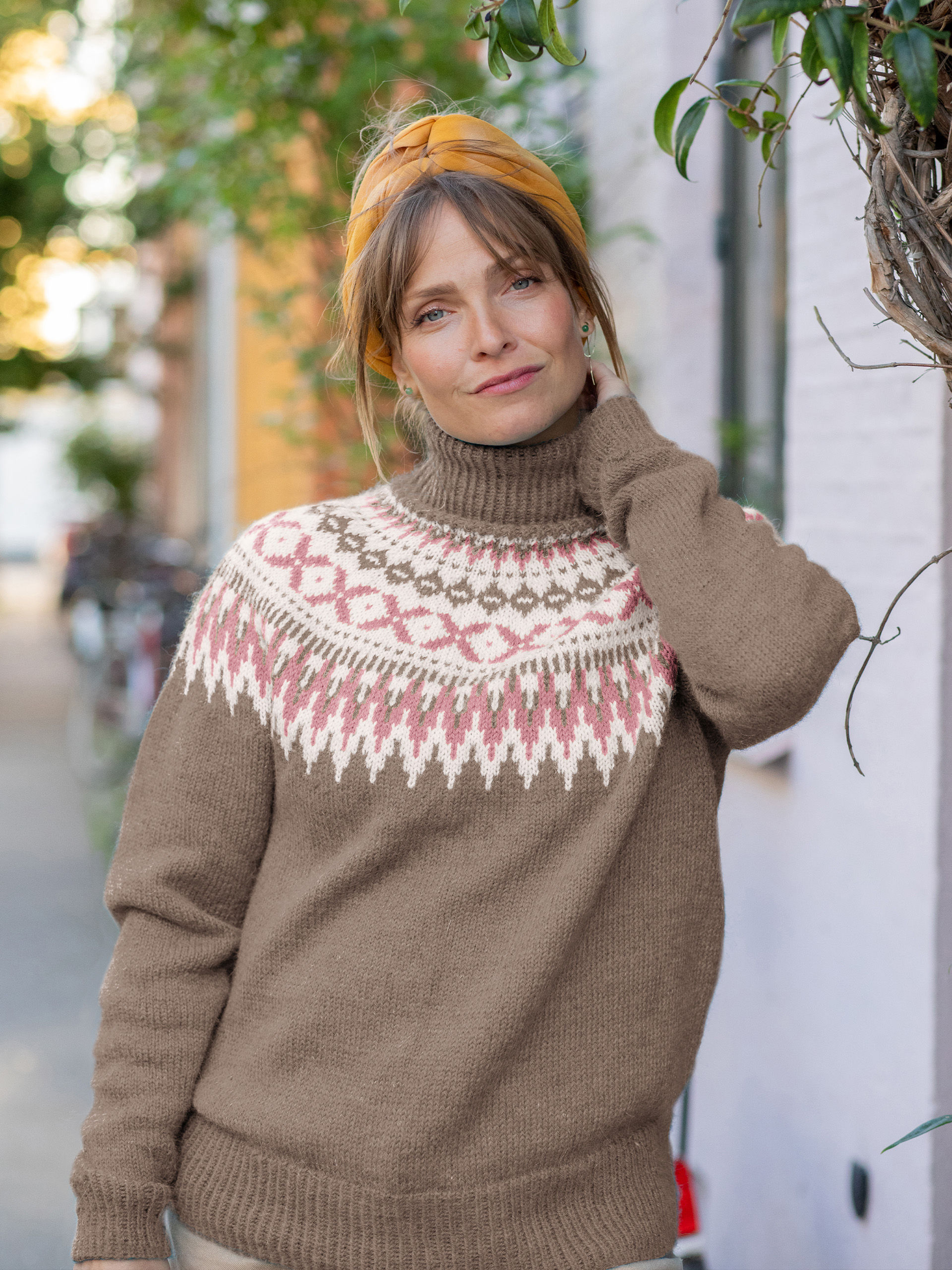 24-51e Rallargenser (Stay)