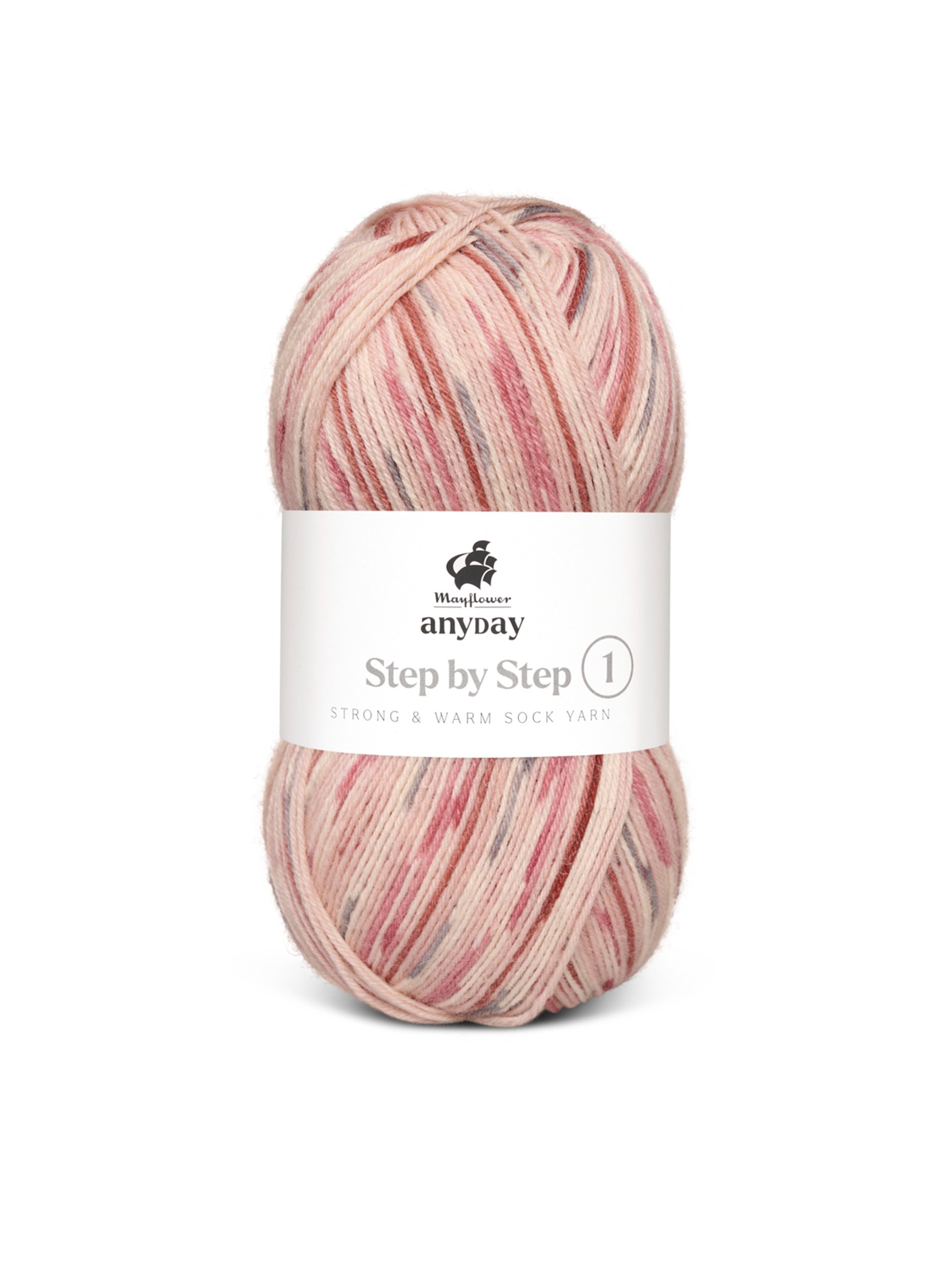 ANYDAY Step by Step 1