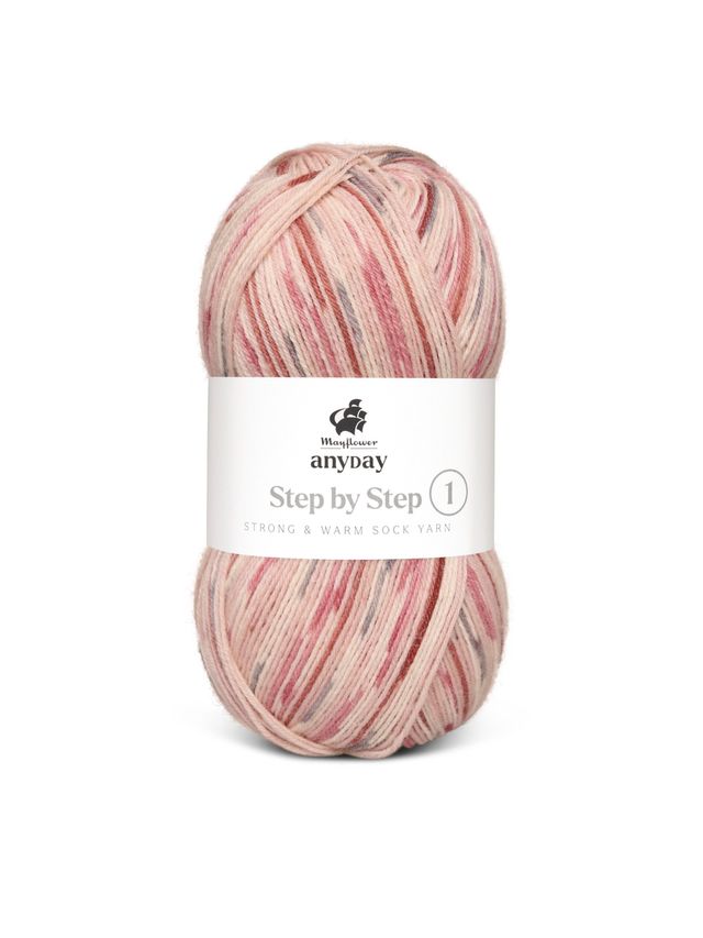 ANYDAY Step by Step 1