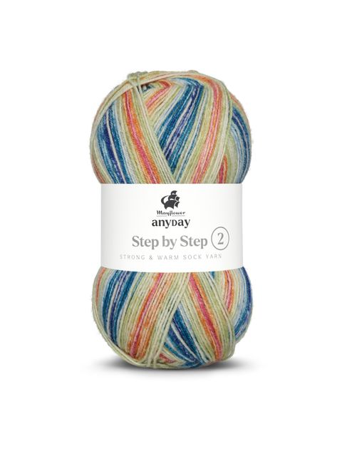 ANYDAY Step by Step 2