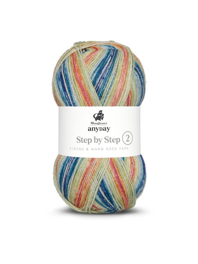 ANYDAY Step by Step 2