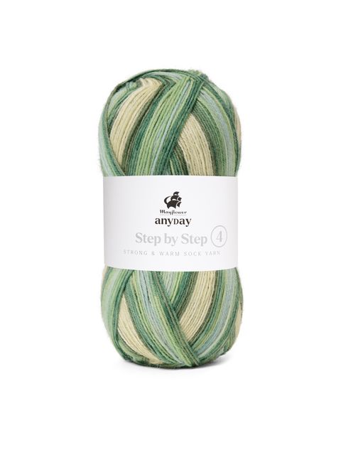 ANYDAY Step by Step 4