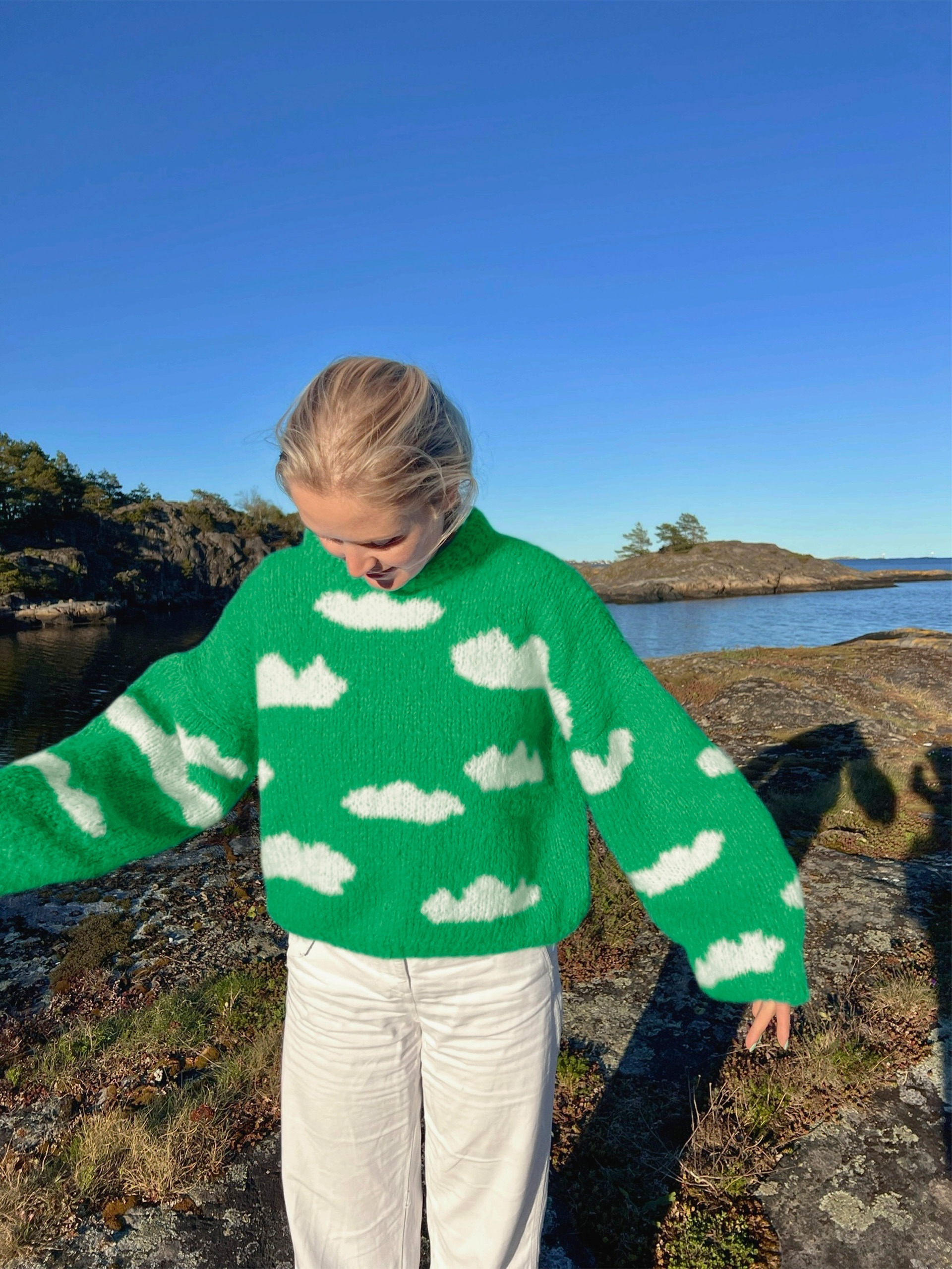 IR 01-04ab Skyhigh genser (Fnugg in Florence)