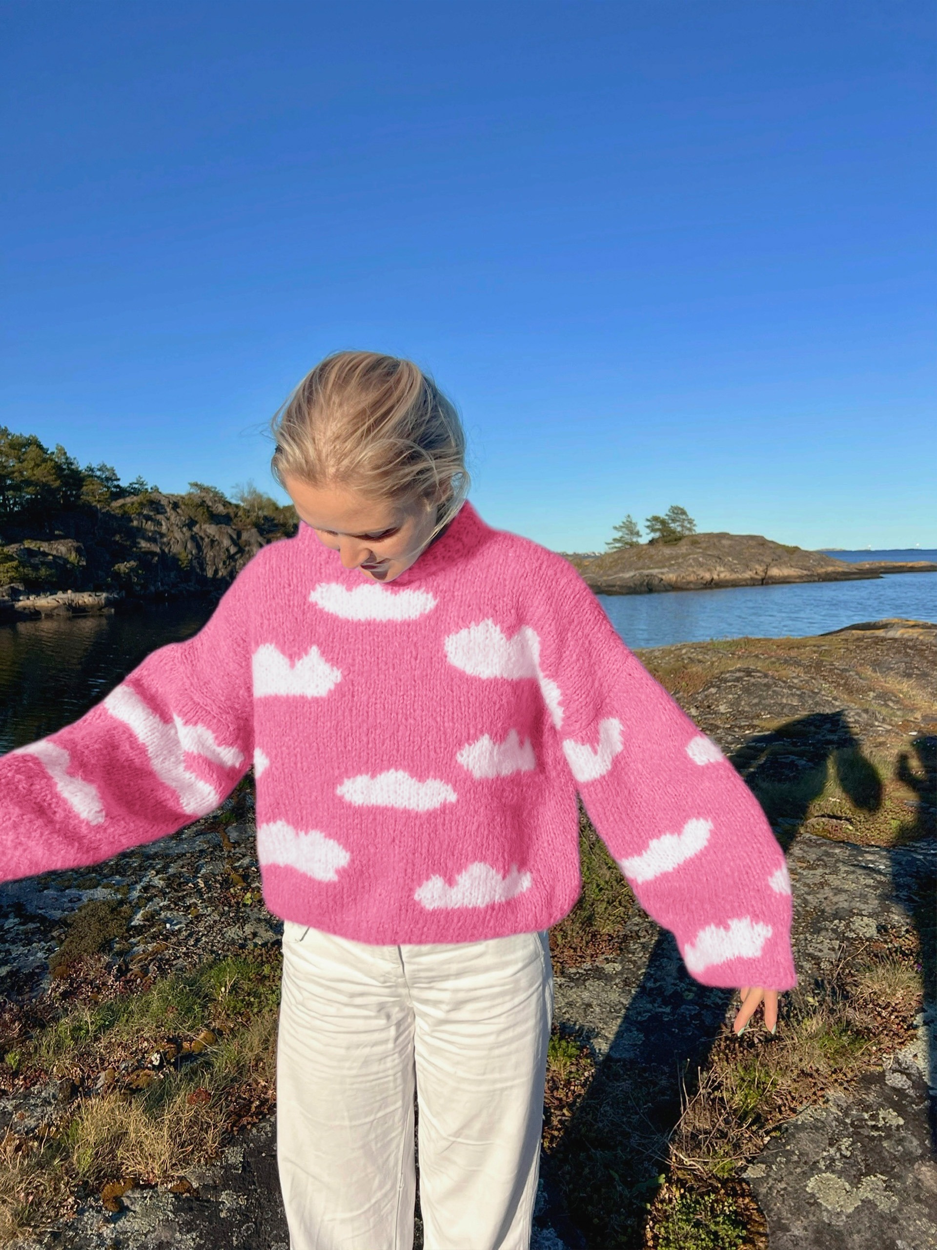 IR 01-04r Skyhigh genser (Fnugg in Florence)