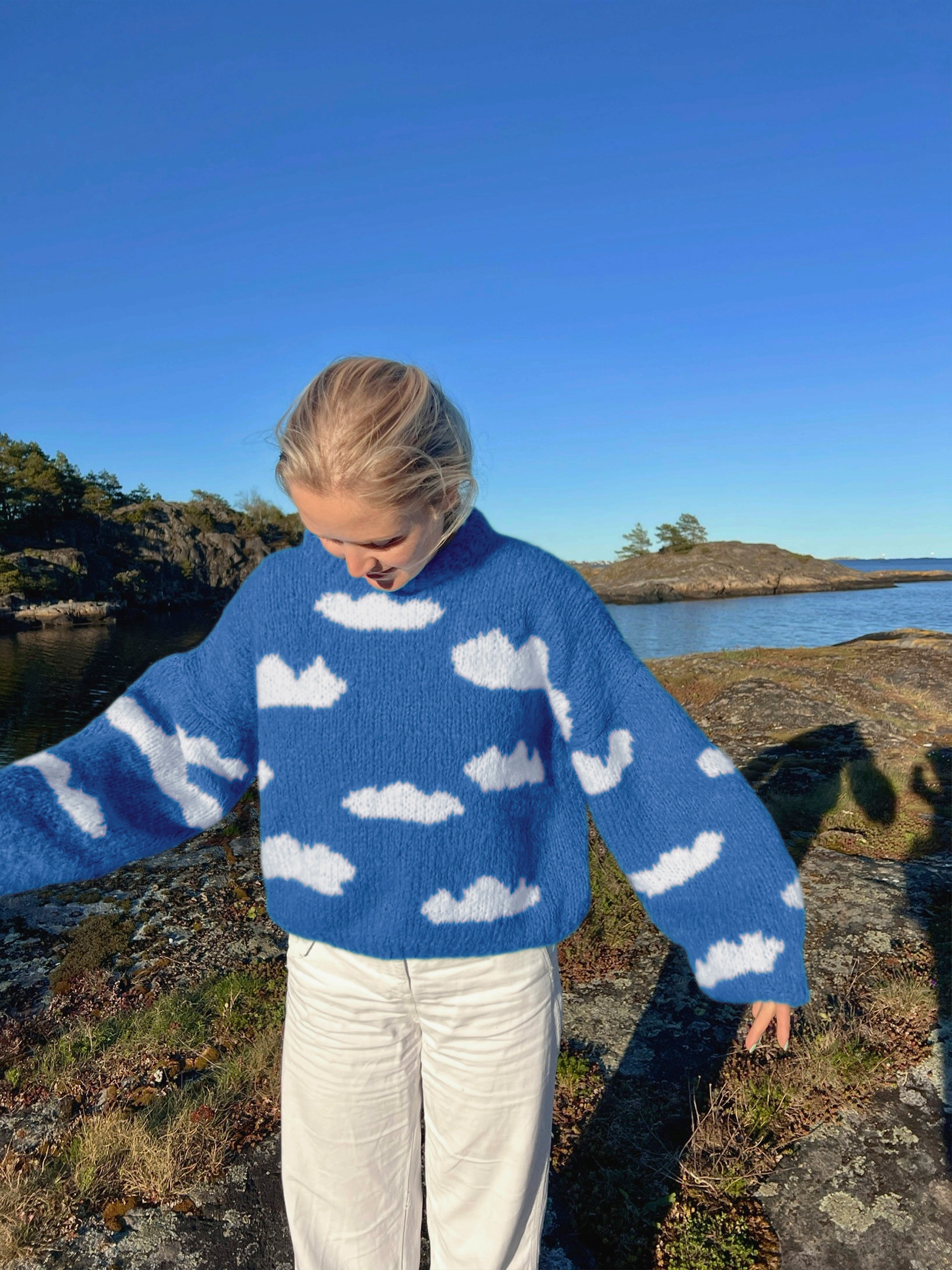 IR 01-04t Skyhigh genser (Fnugg in Florence)