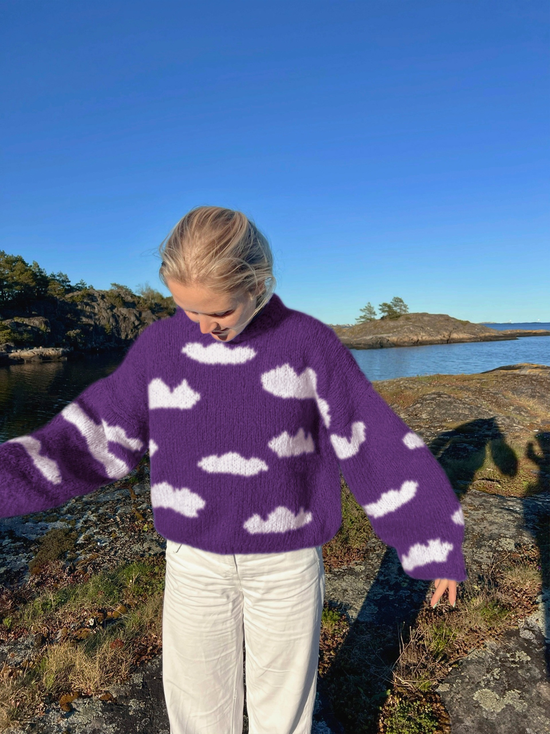 IR 01-04u Skyhigh genser (Fnugg in Florence)