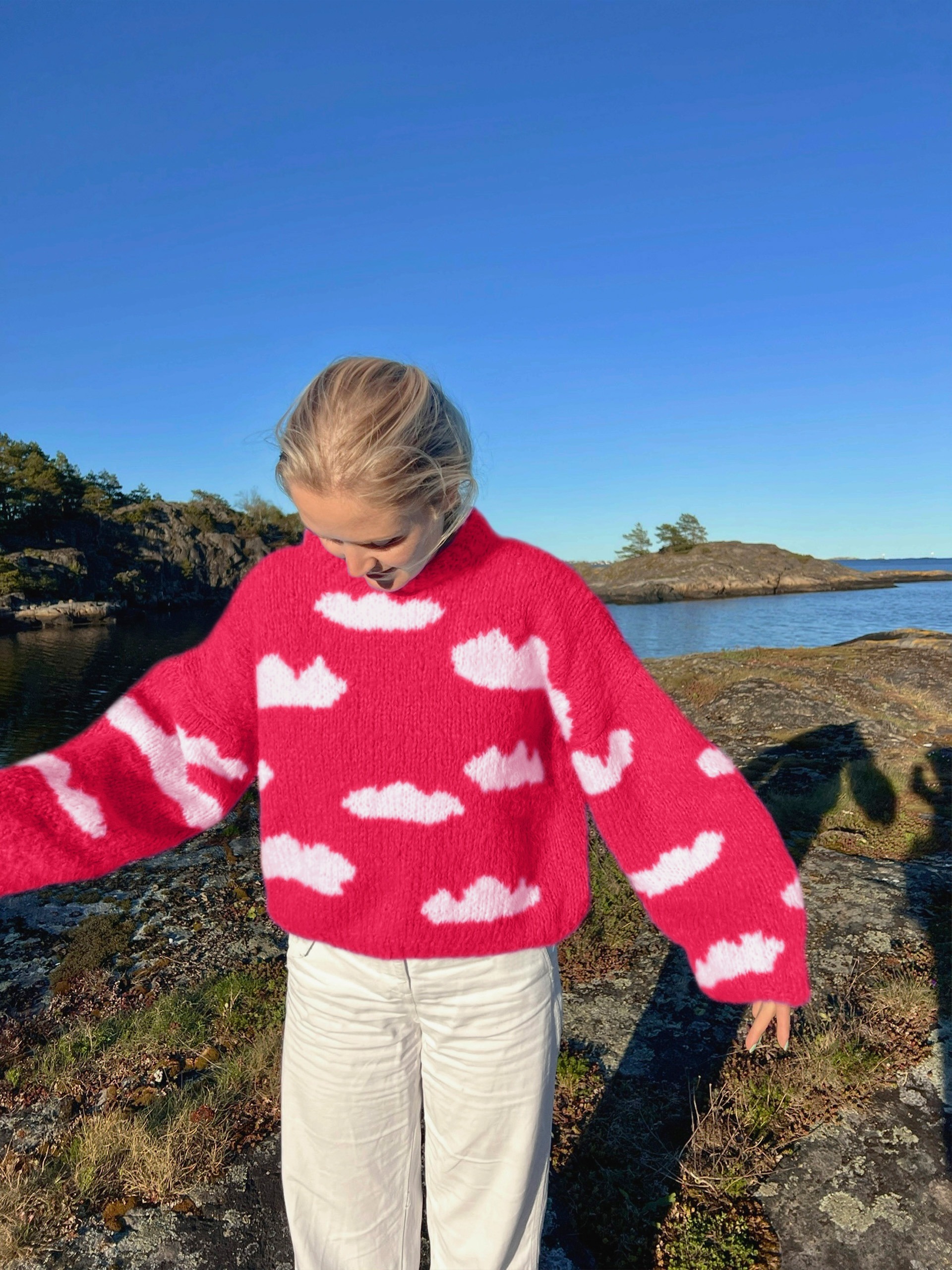 IR 01-04v Skyhigh genser (Fnugg in Florence)