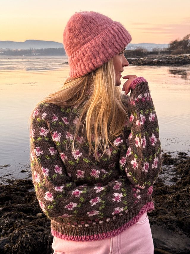 IR 03-20a Ellinor raglangenser (Older)