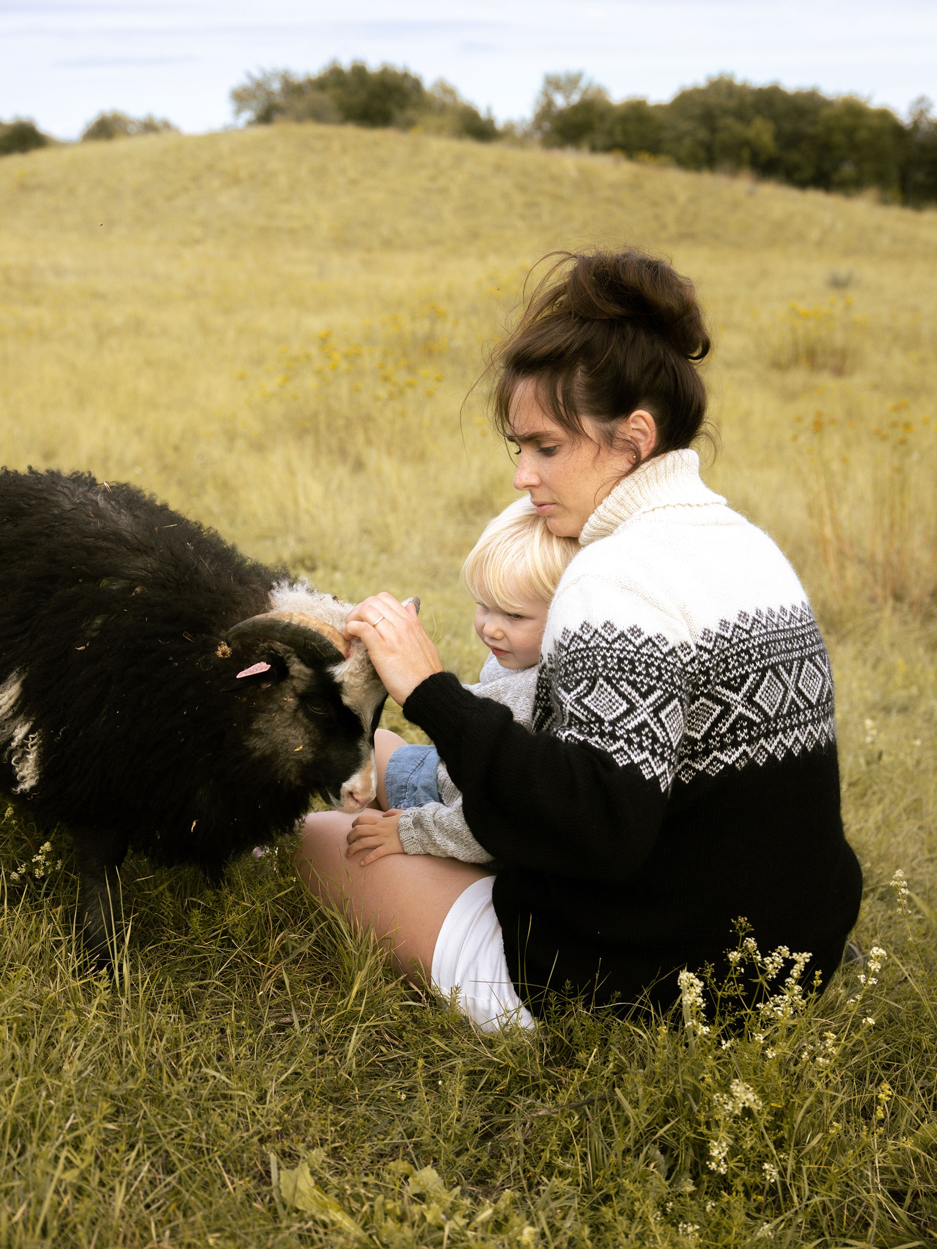 111-08 Cortina genser unisex