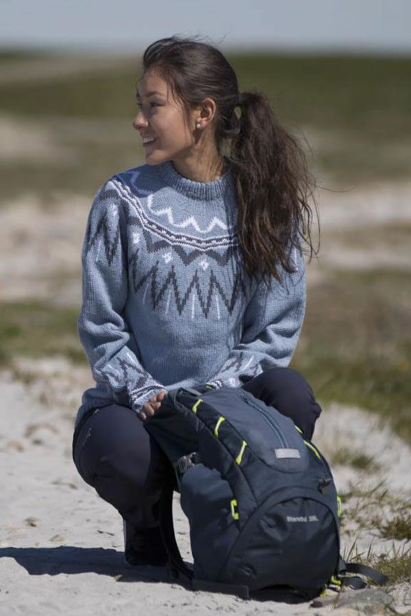 1708-11 Herla genser